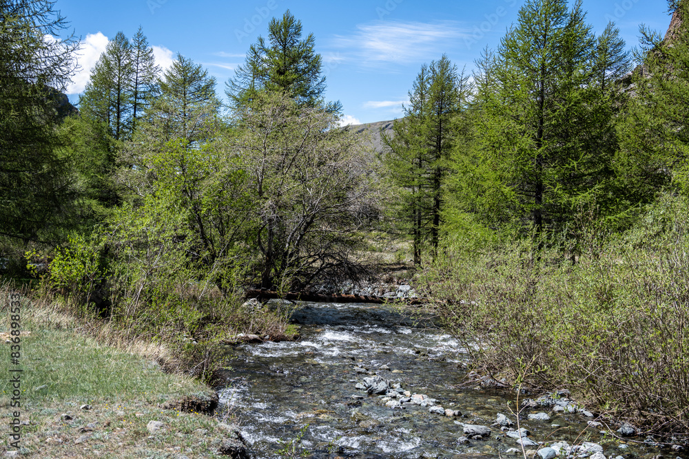 andscape of the surroundings of the village of Kosh Agach mountains with lakes and unusual landscapes in the southern regions of Altai in May
