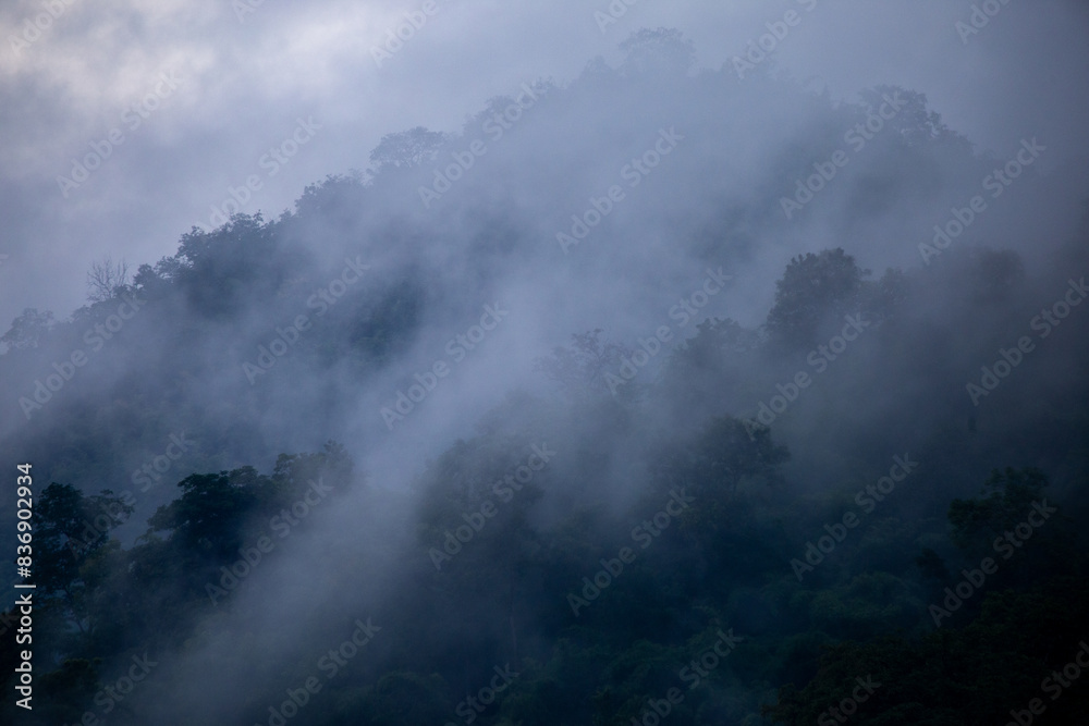 The background texture of mountains in the rainy season and the icy rain fog feels cool and refreshing with the green color of the forest that is cool and pleasing to the eye. The background texture of mountains in the rainy season and the icy rain fog feels cool and refreshing with the green color of the forest that is cool and pleasing to the eye.