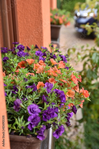 Spring decoration, tulips, daffodils, crocuses in wedge baskets on the background of a spring garden