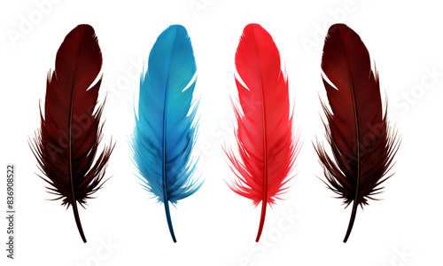 set of color feathers isolated on transparent background