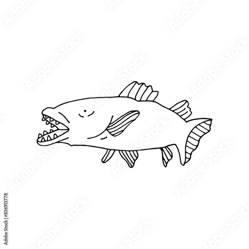 Toothfish, an aquatic vertebrate. Sea World. Doodle. Vector illustration. Hand drawn. Outline. photo