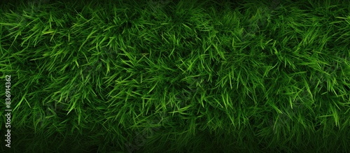 Seamless texture of lush green grass with copy space image.