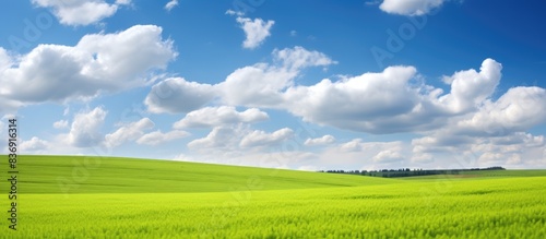 A serene landscape under a picturesque blue sky with fluffy white clouds floating above vibrant green and yellow fields, ideal for a copy space image. photo