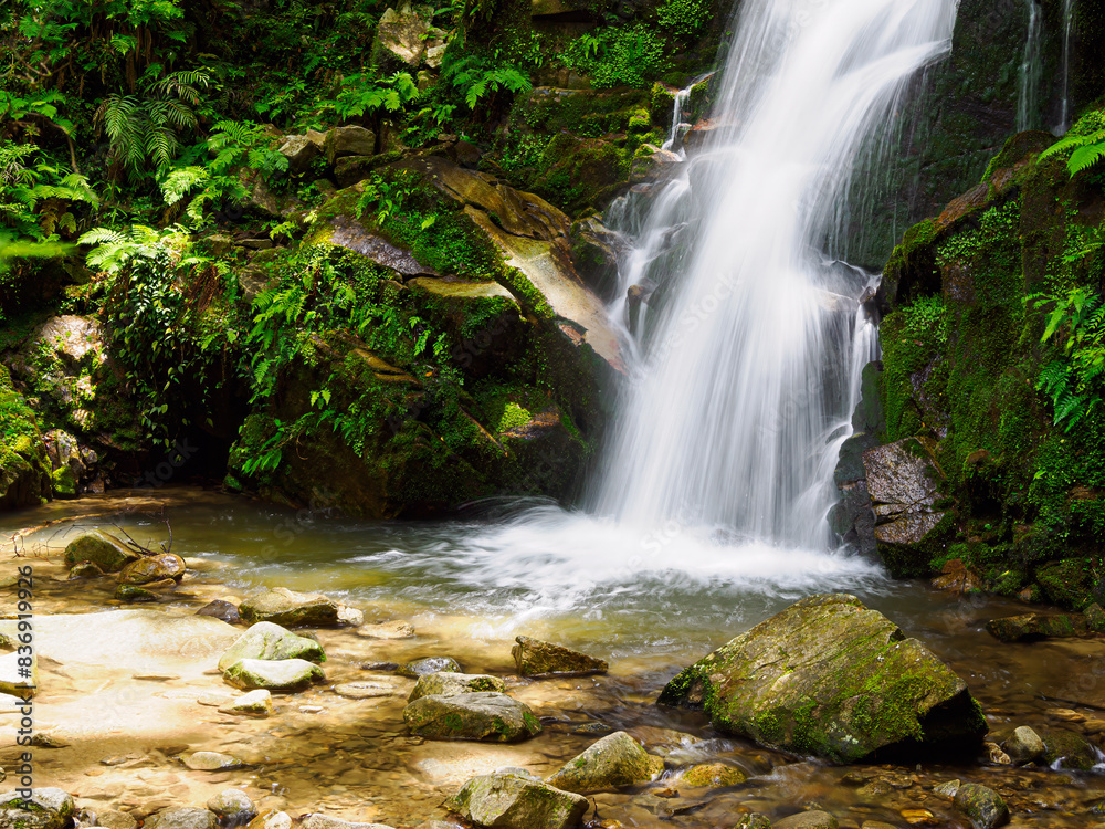 Fototapeta premium 滝 水の流れ