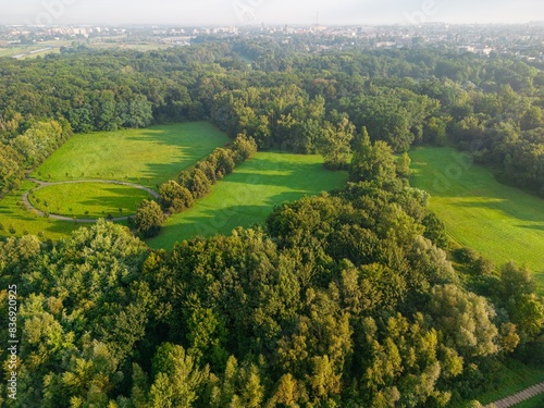 tereny zielone wokół miasta jako park i polany