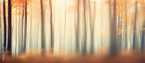 Blurred forest background with autumnal hues and copy space image for a natural and serene backdrop.