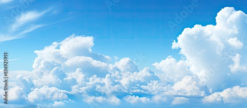 The blue sky with fluffy white clouds provides a serene backdrop for the copy space image.