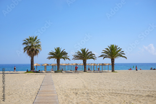 Fototapeta Naklejka Na Ścianę i Meble -  The sandy beach with palm trees of Nei Pori, Olympic riviera - Greece