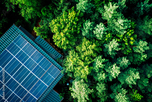 Solar panels on the roof of a house surrounded by greenery, sunny weather, solar energy