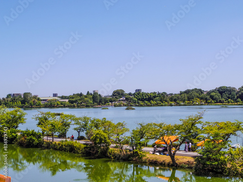 Wallpaper Mural 【茨城県】水戸市・千波湖 Torontodigital.ca