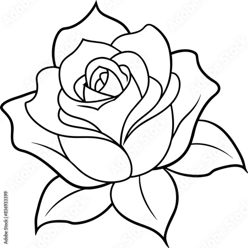 white rose isolated on black