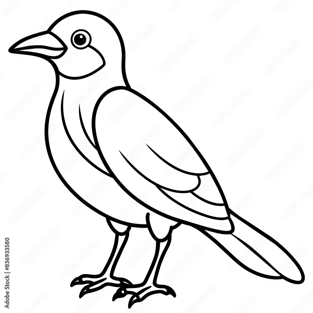Fototapeta premium bird