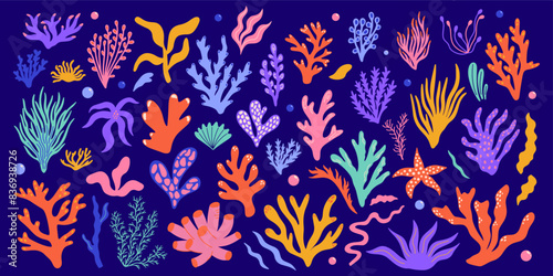Set of various underwater plants, seaweed, algae, corals, marine creatures, species. Sea and ocean flora, fauna, biodiversity design concept, cartoon abstract vector illustration elements collection
