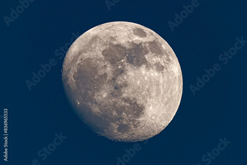 Картината върху платно Gibbous Moon
