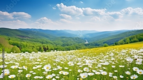 Beautiful spring and summer natural landscape with blooming field of daisies in the grass in the hilly countryside