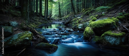 long exposure of creek in the forest. Creative banner. Copyspace image