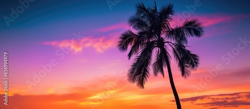 sunset twilight with silhouette palm tree. Creative banner. Copyspace image