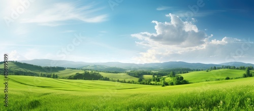 Grass on the field during sunrise Agricultural landscape in the summer time. Creative banner. Copyspace image