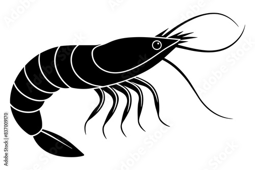 shrimp silhouette vector illustration