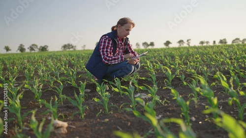 software for farmers. Female agronomist farmer uses a software on tablet pc to control grain yield