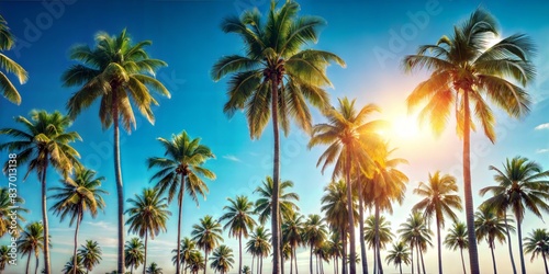Tropical Palm Trees Blur: A blurred background featuring tall palm trees against a clear, sunny sky, ideal for a tropical summer setting. 