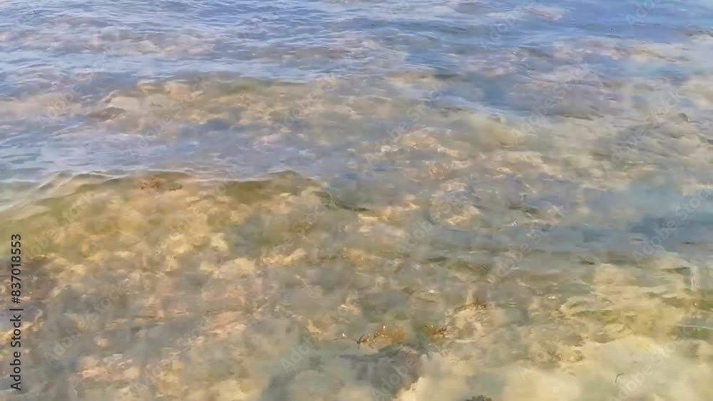 Stones rocks corals turquoise green blue water on beach Mexico. Stones rocks corals turquoise green blue water on beach Mexico.