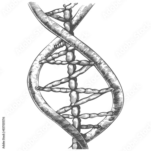 gene DNA mutation symbol with engraving style black color only