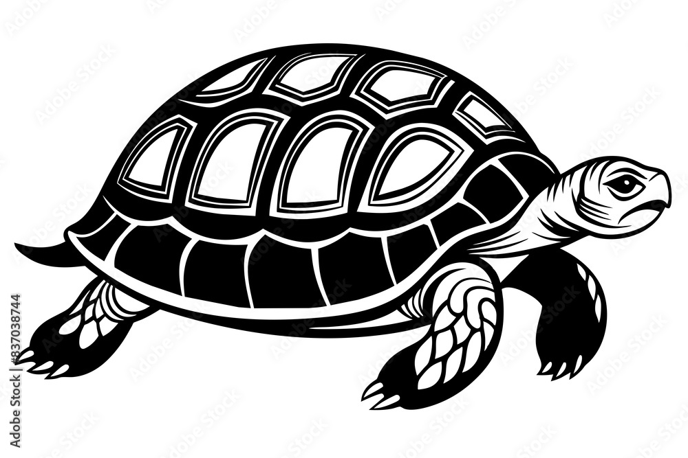 turtle silhouette vector illustration turtle silhouette vector illustration