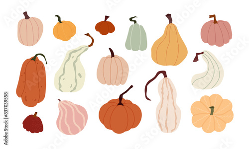 Flat design Illustration of Diverse Pumpkins