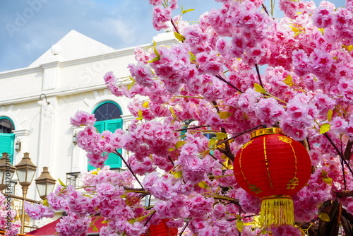 Lantern decoration from cherry tree branches with a classic building in the background photo