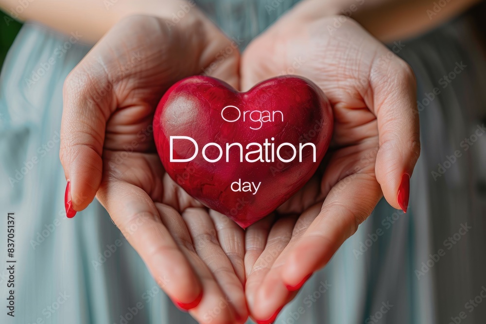 Cardiology and organ donation, a powerful visual for organ donation day, critical role of transplants, heart diseases and saving lives through generous contributions Cardiology and organ donation, a powerful visual for organ donation day, critical role of transplants, heart diseases and saving lives through generous contributions