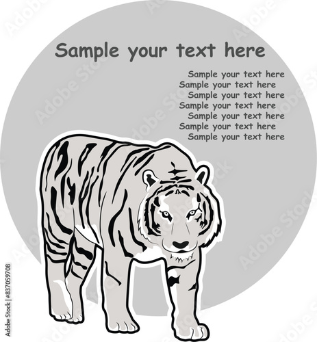 White Tiger Symbol, Vector Picture Background