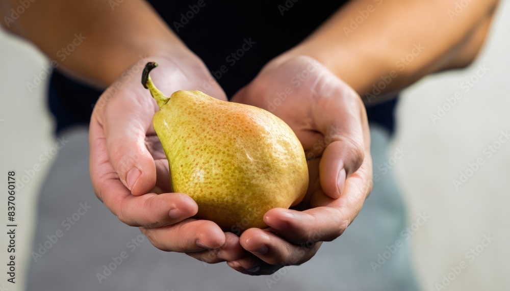 hands of a man holding a pear hands of a man holding a pear