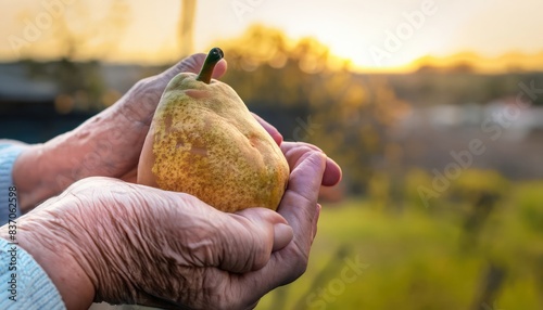 hand of old man holding a pear