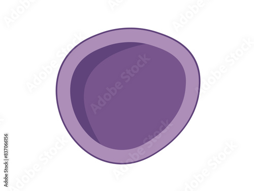  Blood vessels Vein vector illustration isolated on a white background. Blood vessels types .