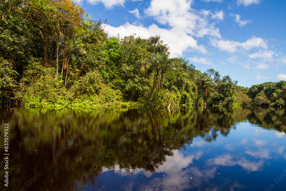 Scenic Views of the Negro River: Discover the tranquil beauty and rich biodiversity of this Amazonian tributary, ideal for travel and environmental-themed projects, near Manaus, Brazil Scenic Views of the Negro River: Discover the tranquil beauty and rich biodiversity of this Amazonian tributary, ideal for travel and environmental-themed projects, near Manaus, Brazil