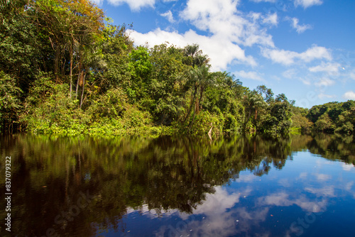 Scenic Views of the Negro River: Discover the tranquil beauty and rich biodiversity of this Amazonian tributary, ideal for travel and environmental-themed projects, near Manaus, Brazil