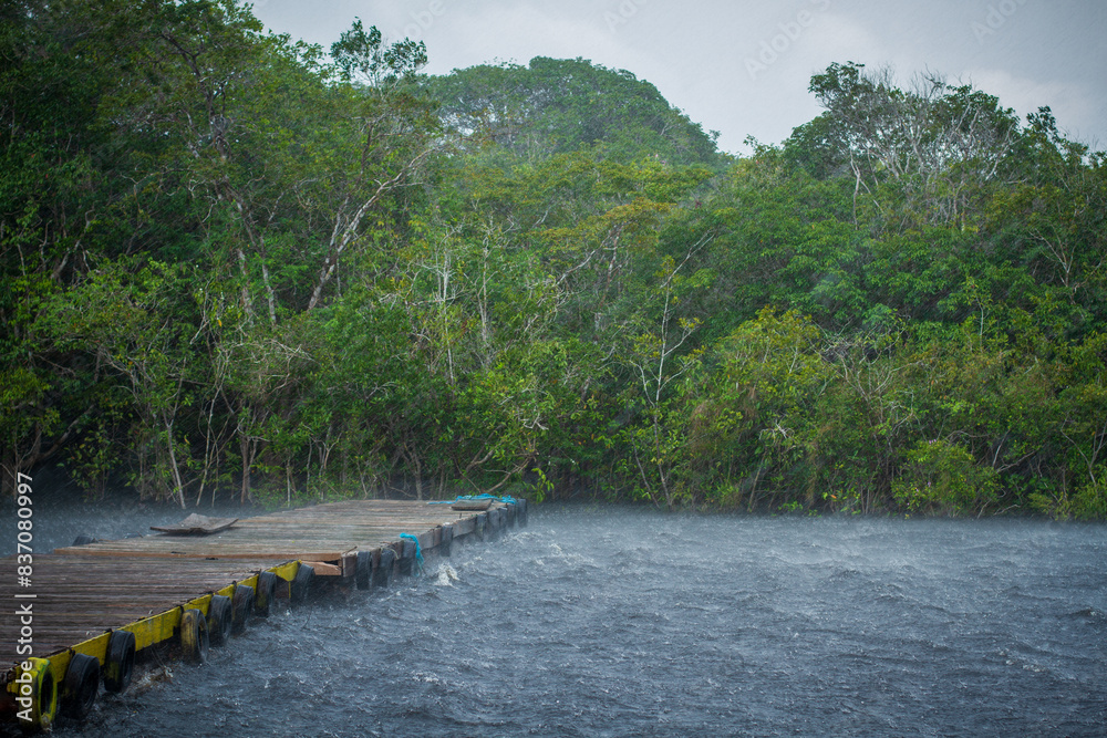 Captivating Amazon River in the Rain: Experience the vibrant essence of the rainforest captured in this stunning image, perfect for your creative projects Captivating Amazon River in the Rain: Experience the vibrant essence of the rainforest captured in this stunning image, perfect for your creative projects