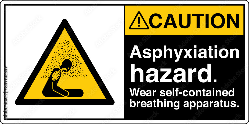 Obraz premium ANSI Z535 Safety Sign Marking...