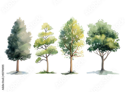 Set of watercolor green trees collection vector illustration