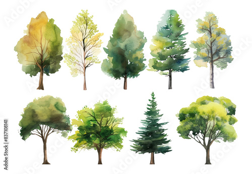 Set of watercolor green trees collection vector illustration