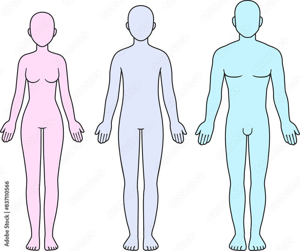 Adult male, female and unisex body diagram, front view. Blank adult human body template for medical infographic. Isolated illustration set. Adult male, female and unisex body diagram, front view. Blank adult human body template for medical infographic. Isolated illustration set.