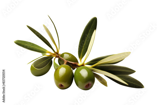 Wallpaper Mural Olives with green leaves isolated on transparent background. Torontodigital.ca
