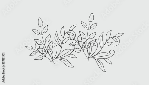 Vector hand drawn line art illustration.