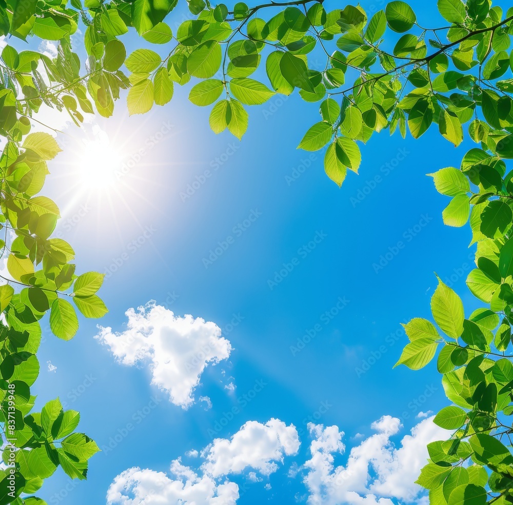 A clear day accentuated by the lush greenery of trees and the softness of the clouds above. A clear day accentuated by the lush greenery of trees and the softness of the clouds above.