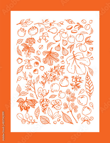 Vector orange linear illustration of different Garden Fruits, leaves, tree branches