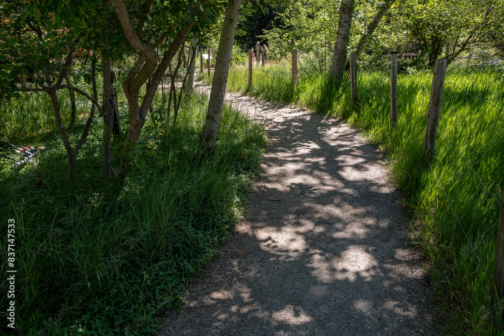 Serine walking trail leading through a park Serine walking trail leading through a park