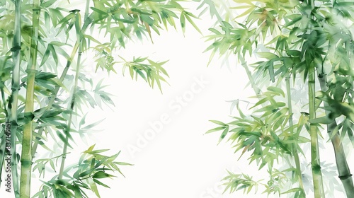 Watercolor painting of lush green bamboo stalks with leaves forming a frame on white background.