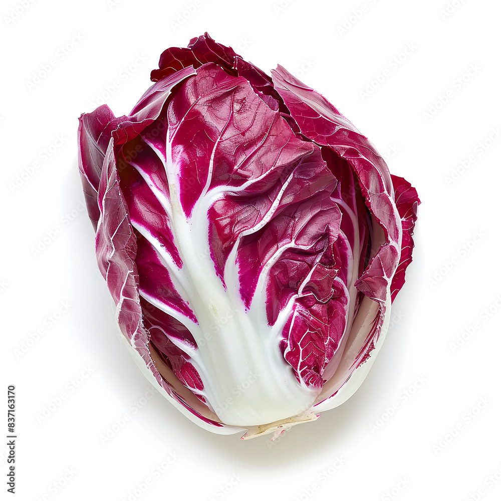 Radicchio on Isolate white background. Radicchio on Isolate white background.