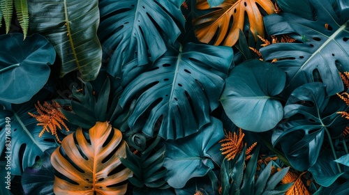 Dense jungle of exotic greenery showcasing the patterns and textures of nature.